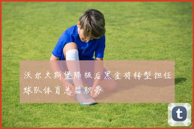 沃尔夫斯堡降级后黑金将转型担任球队体育总监职务