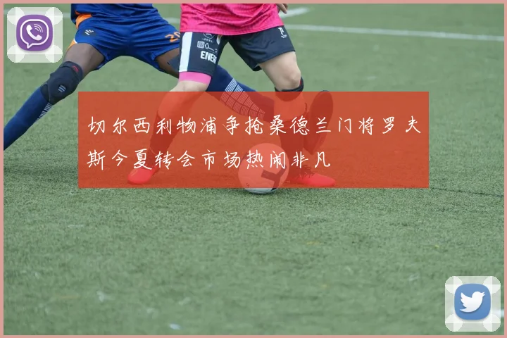 切尔西利物浦争抢桑德兰门将罗夫斯今夏转会市场热闹非凡